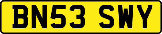 BN53SWY