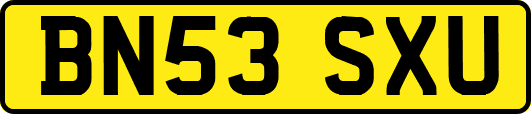 BN53SXU