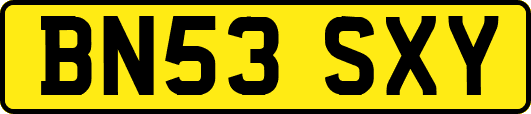 BN53SXY