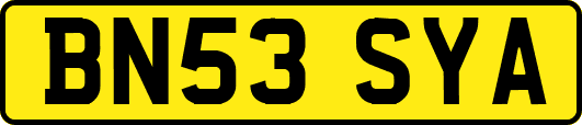BN53SYA