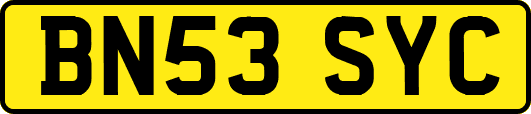BN53SYC
