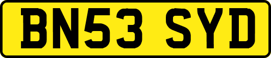 BN53SYD