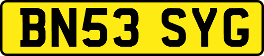 BN53SYG