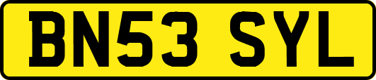 BN53SYL