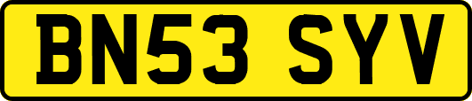 BN53SYV