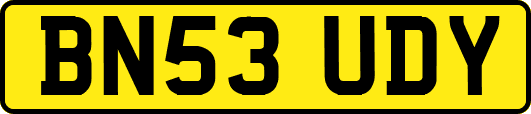BN53UDY