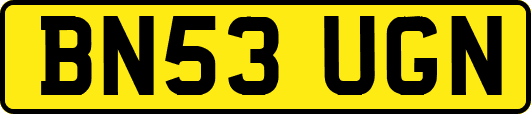 BN53UGN