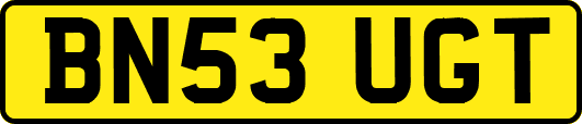 BN53UGT