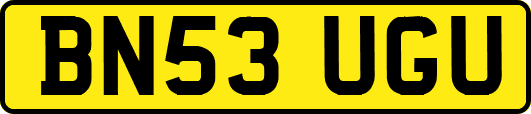 BN53UGU