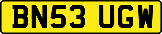 BN53UGW