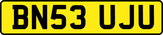 BN53UJU