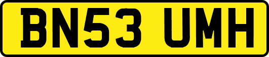 BN53UMH
