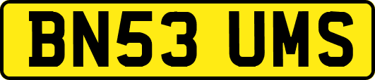BN53UMS