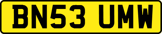 BN53UMW