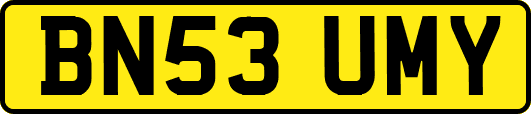 BN53UMY