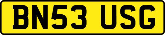 BN53USG