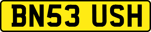 BN53USH