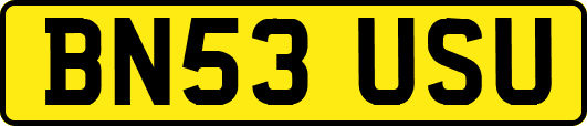 BN53USU