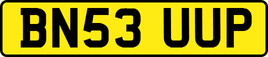 BN53UUP