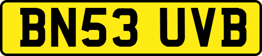 BN53UVB