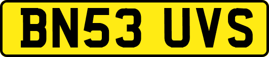 BN53UVS