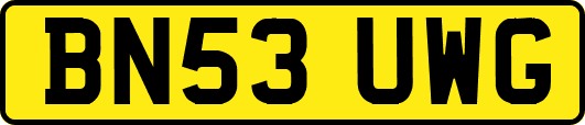 BN53UWG