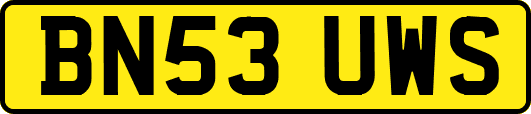 BN53UWS
