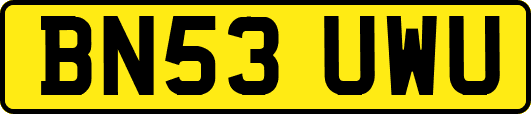 BN53UWU