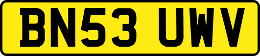 BN53UWV