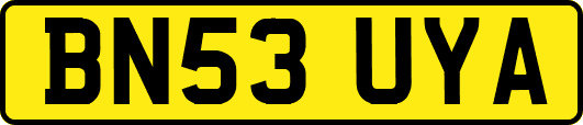 BN53UYA