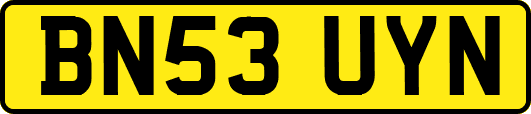 BN53UYN
