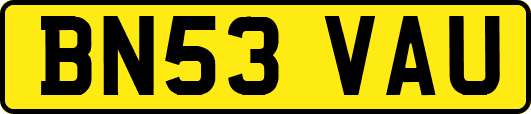 BN53VAU