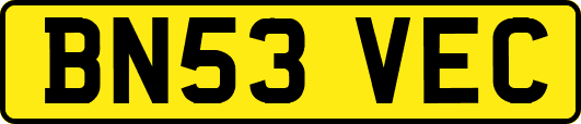 BN53VEC