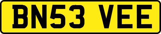 BN53VEE
