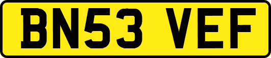 BN53VEF