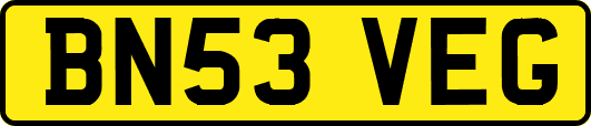 BN53VEG