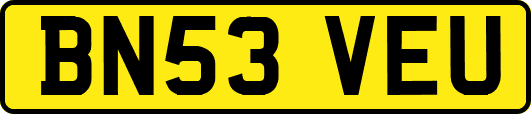 BN53VEU