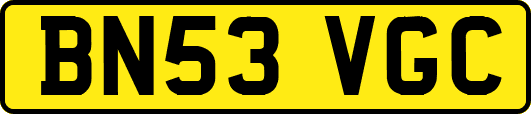 BN53VGC
