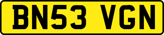BN53VGN