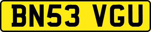 BN53VGU