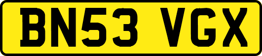 BN53VGX