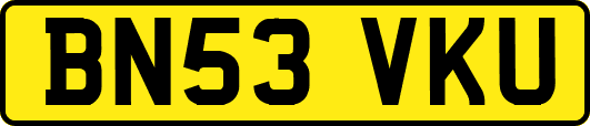 BN53VKU