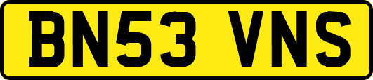 BN53VNS
