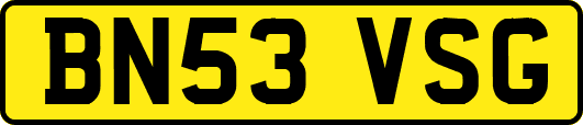 BN53VSG