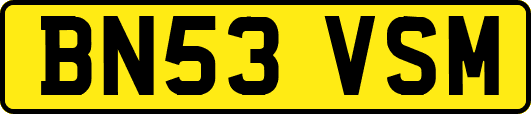BN53VSM