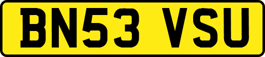 BN53VSU