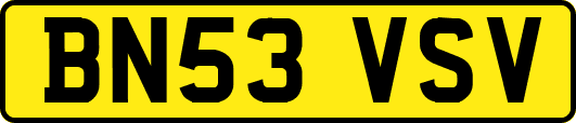 BN53VSV