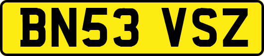 BN53VSZ