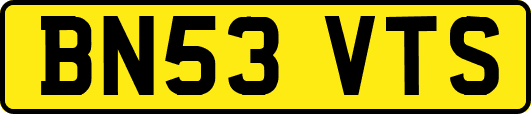 BN53VTS