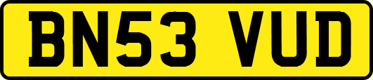 BN53VUD